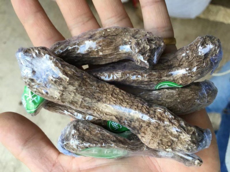 正宗昭通天麻昭通野生天麻昭通小草坝乌天麻