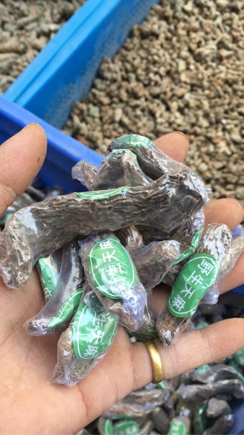 正宗昭通天麻昭通野生天麻昭通小草坝乌天麻