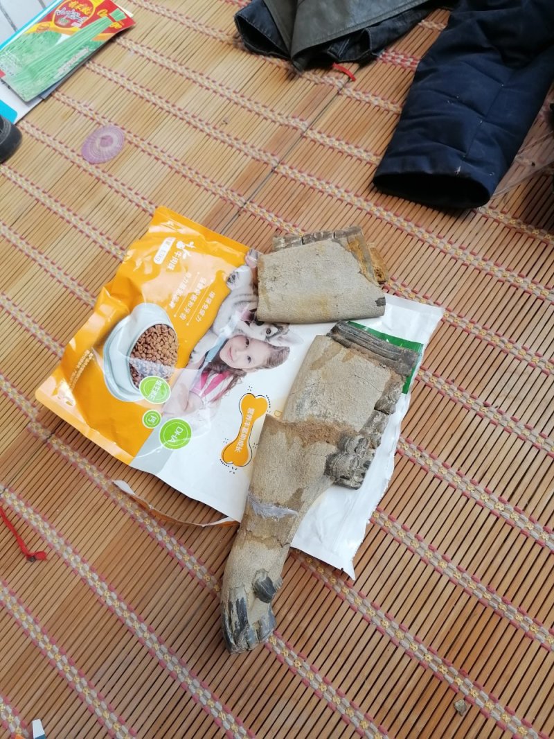 山西临猗，黄河边上沙层千年龙骨，龙牙有大小货，有完整化！