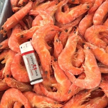 北部湾熟冻单冻红虾，。