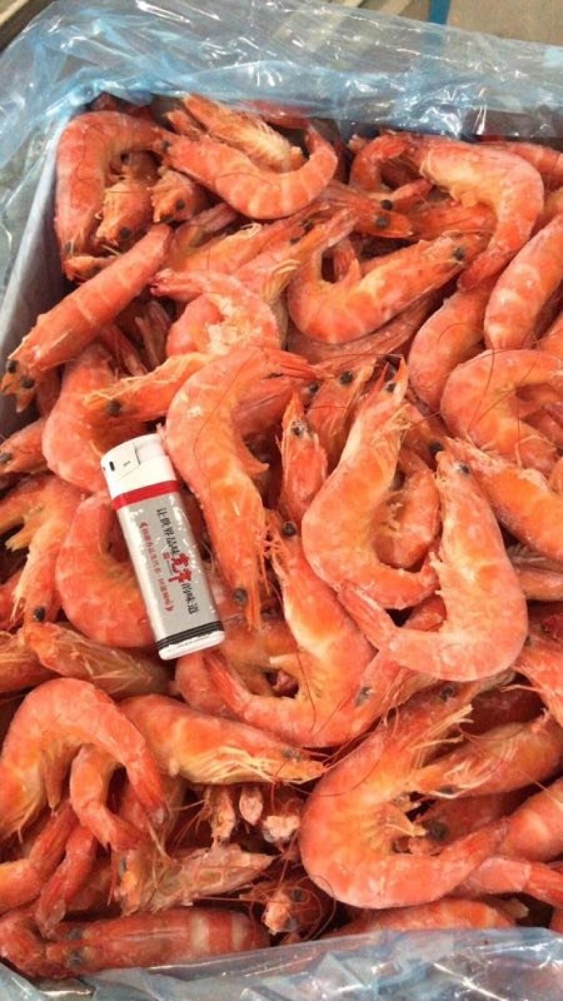 北部湾熟冻单冻红虾，。