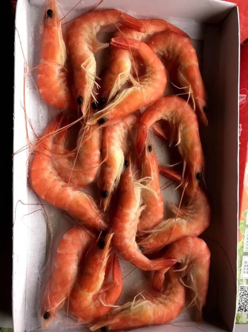 北部湾熟冻单冻红虾，。