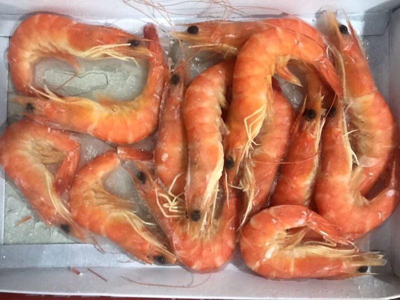 北部湾熟冻单冻红虾，。