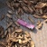 牛蒡茶