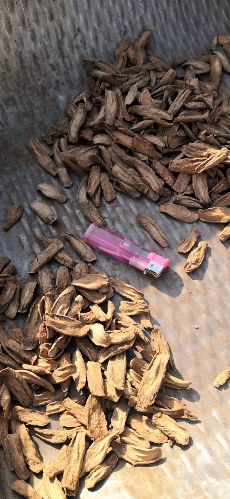 牛蒡茶