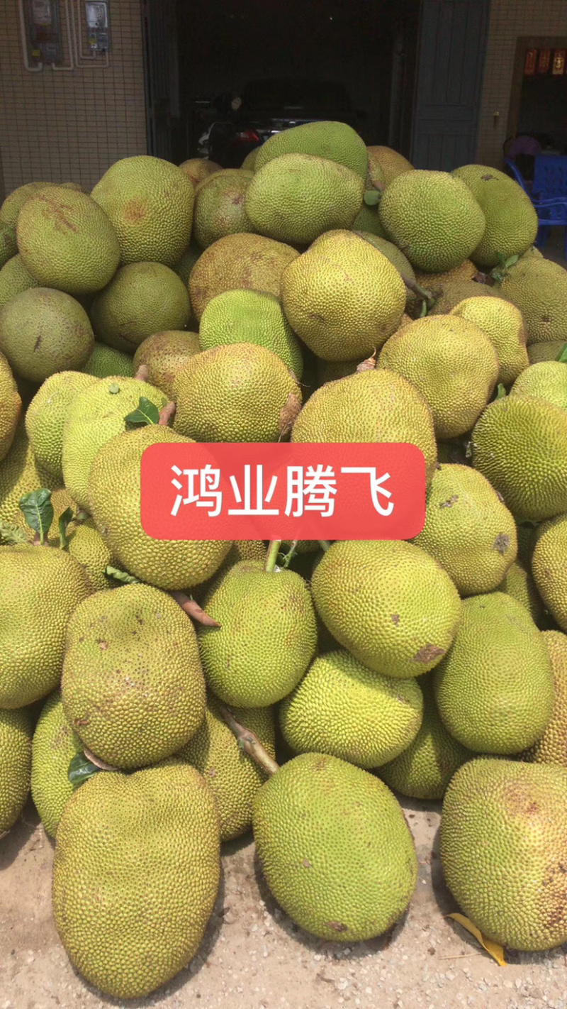 广东本地菠萝蜜