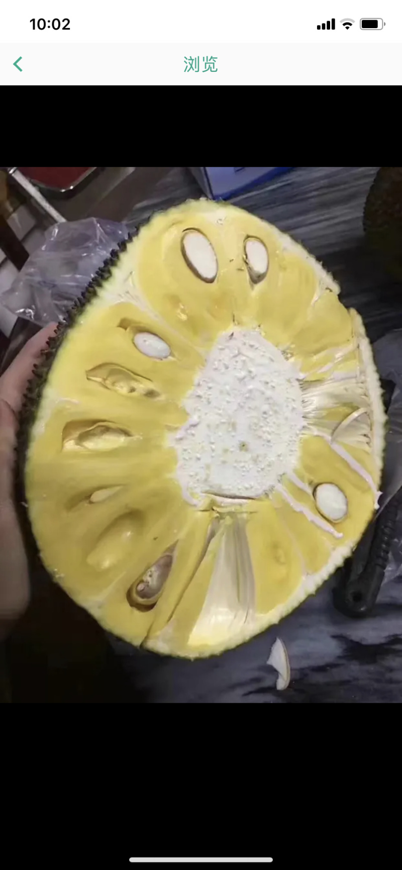 广东本地菠萝蜜