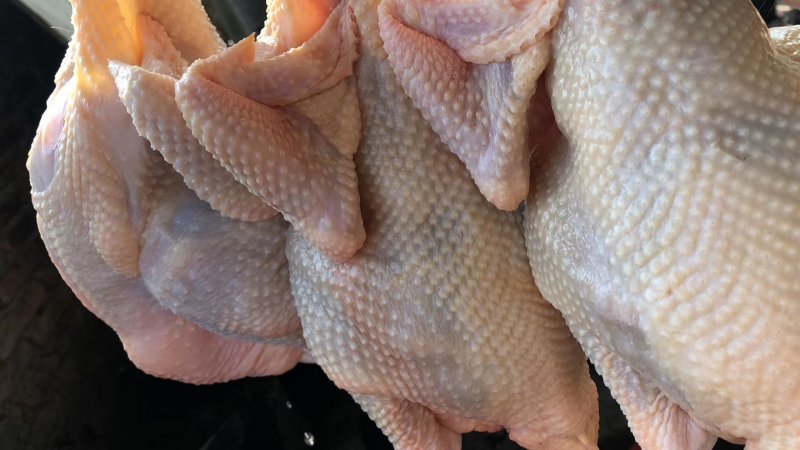 正宗一年老母鸡，走地鸡，虫子鸡，肉质鲜美，欢迎选购