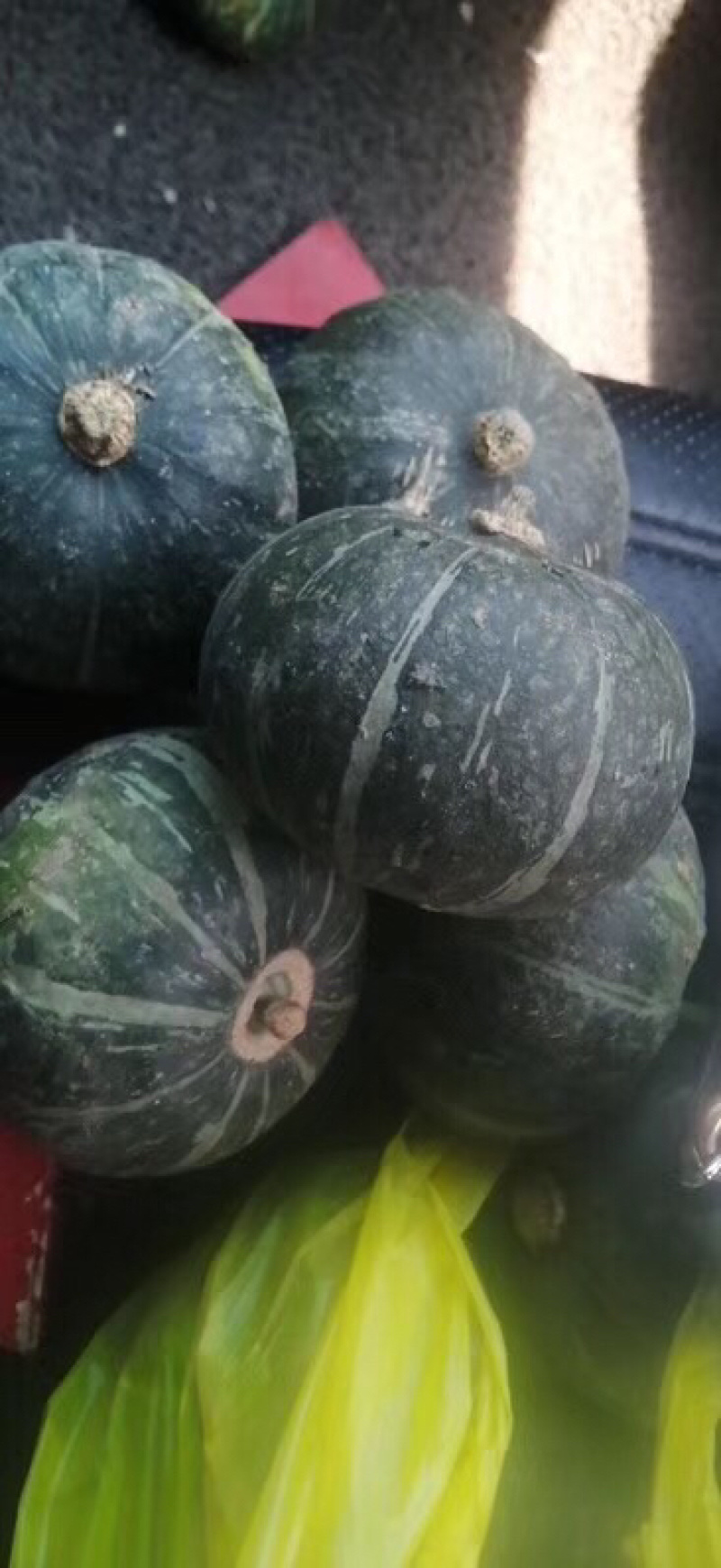 贝贝小南瓜粉糯香甜好吃，欢迎个大渠道对接