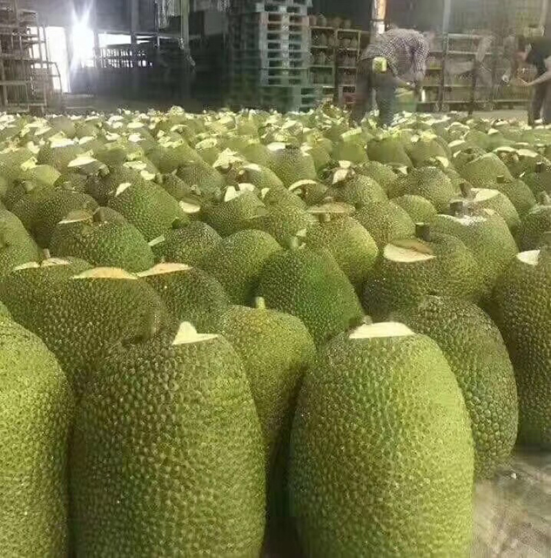 泰国菠萝蜜香甜好吃了欢迎个大渠道对接，好好