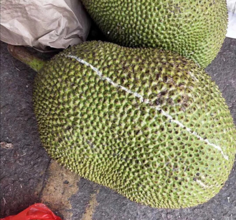 泰国菠萝蜜香甜好吃了欢迎个大渠道对接，好好