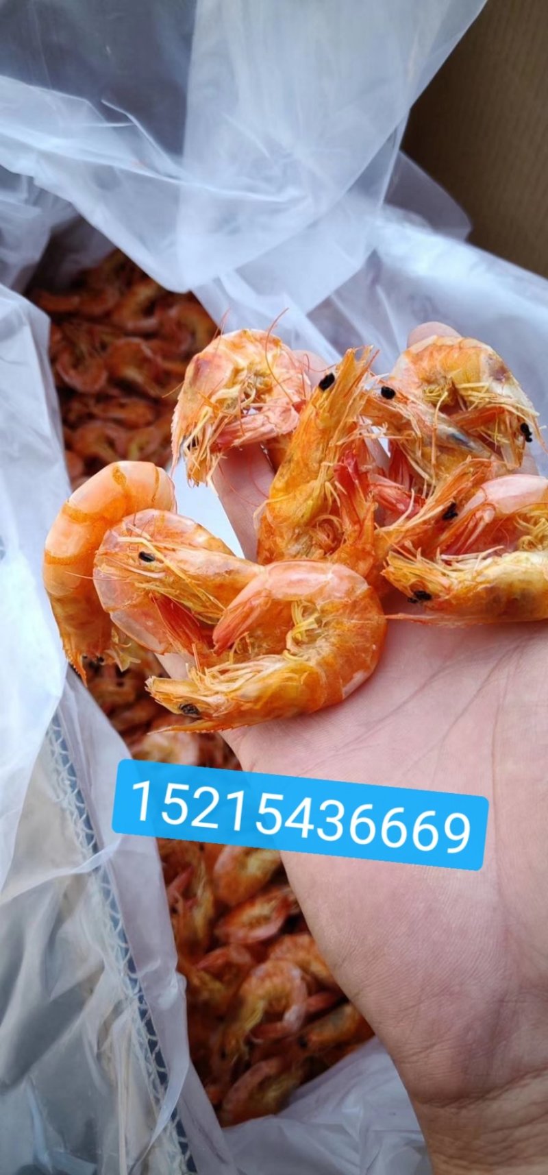 烤虾