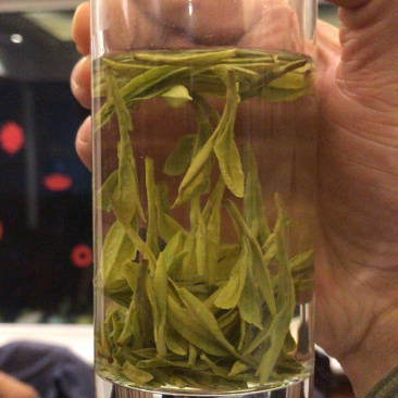 龙井43号