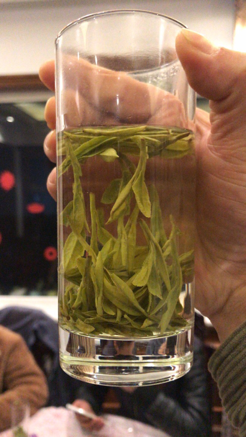龙井43号