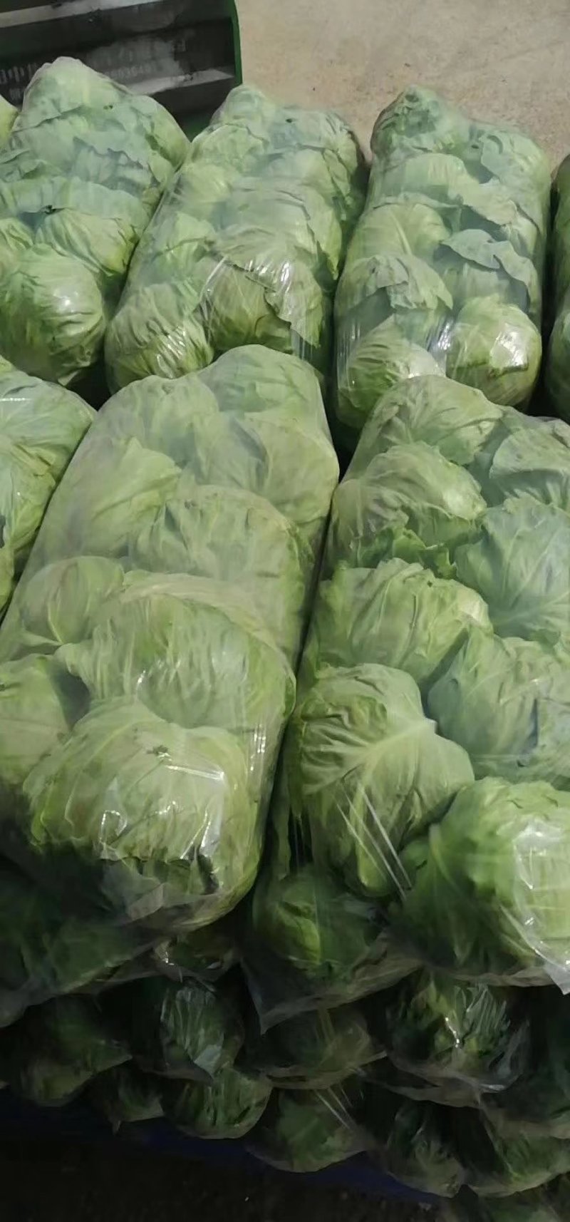 春玉甘蓝大量上市