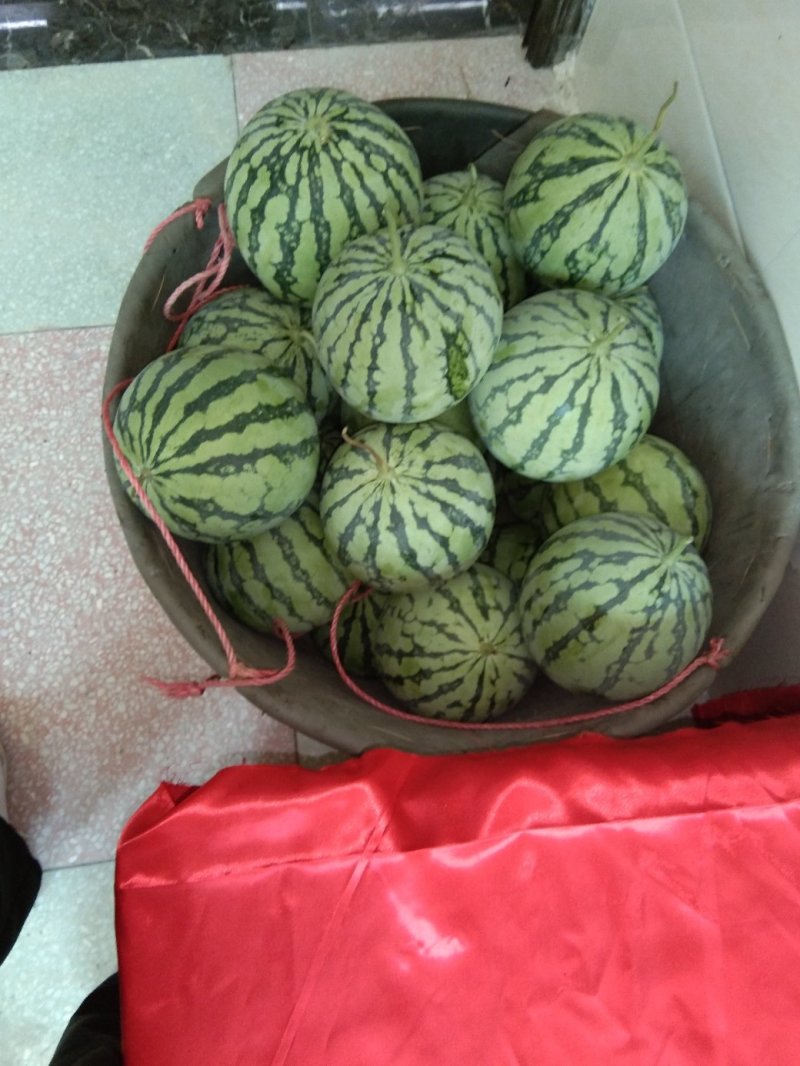 瓜果类