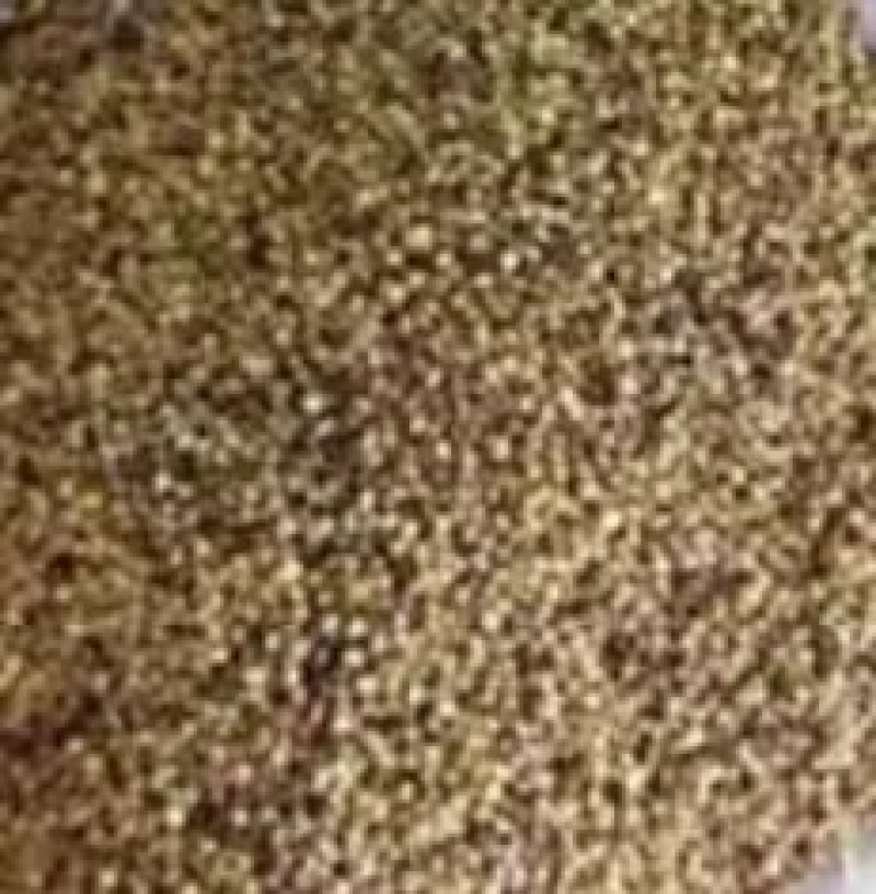 白三叶草籽进口海法发绛红三叶草种子四季果园绿化草坪牧