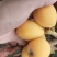枇杷