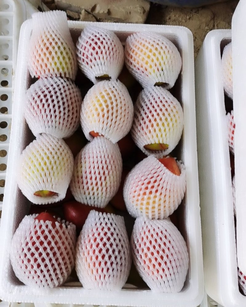 油桃脆甜。新鲜。保证质量。诚信