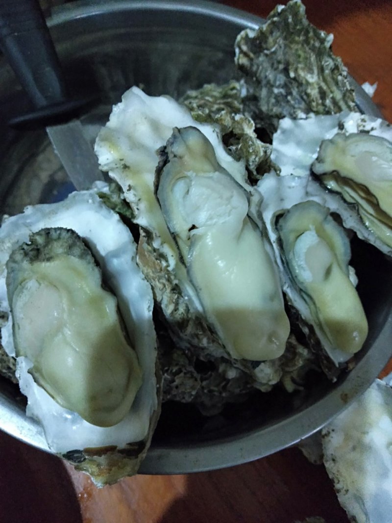 烧烤专用大生蚝，个头大，肥度好