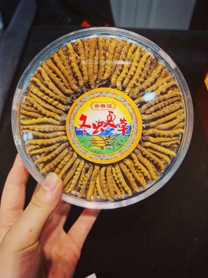 冬虫夏草玉树精选精品全国顺丰包邮，假一赔万不满意可退