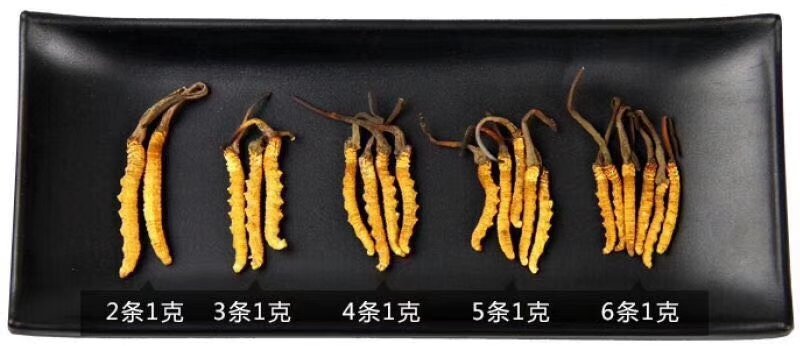 冬虫夏草玉树精选精品全国顺丰包邮，假一赔万不满意可退