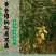 黄金维纳斯苹果适合南北种植苗，全国种植苹果