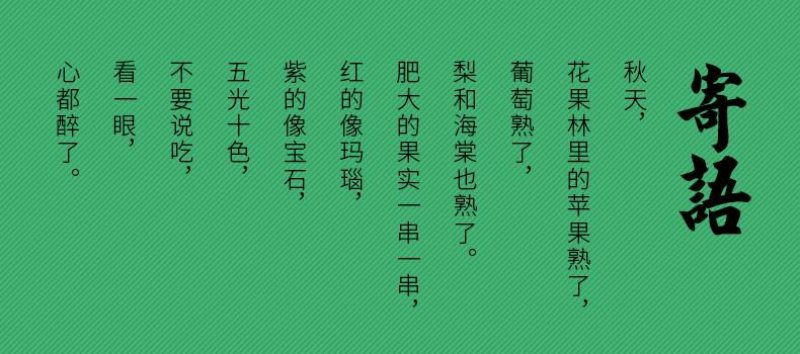 黄金维纳斯苹果适合南北种植苗，全国种植苹果