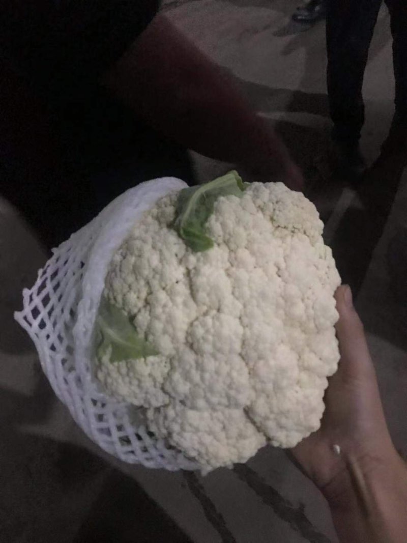 精品菜花大量上市中，常年供应各大市场、超市、加工厂……