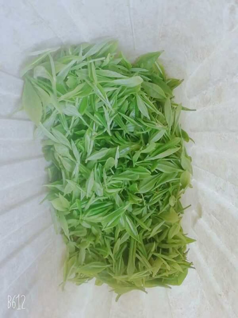 开化龙顶茶叶