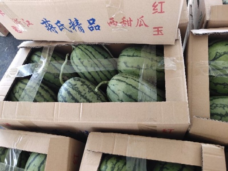 精品2K西瓜，包装小工齐全，产地直发，保熟保甜