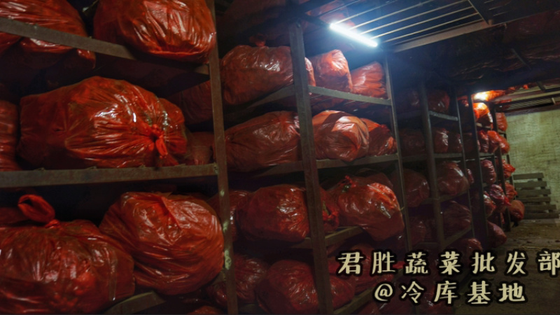 广西百色大姜本地姜肉姜姜种菜姜切丝餐饮
