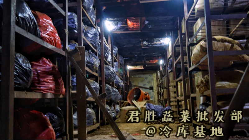 广西百色大姜本地姜肉姜姜种菜姜切丝餐饮