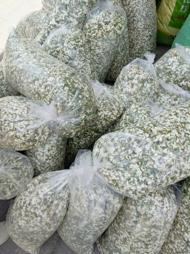 新鲜高山自然洋愧花纯花骨朵大量出售