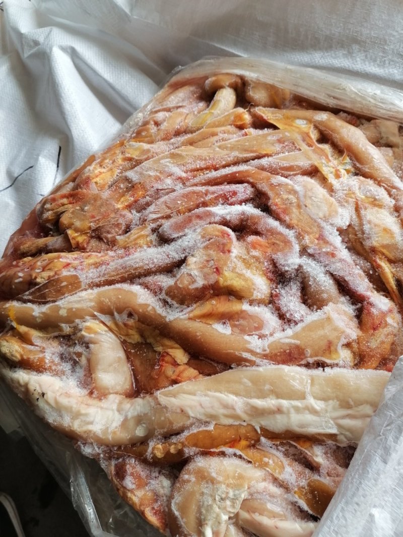 精品马板肠，小肠，当月新货，免清洗，出率高
