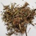 含羞草，药用含羞草，产地直供道地药材，药典标准支持线上交
