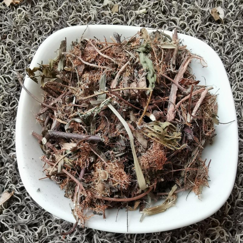 含羞草，药用含羞草，产地直供道地药材，药典标准支持线上交
