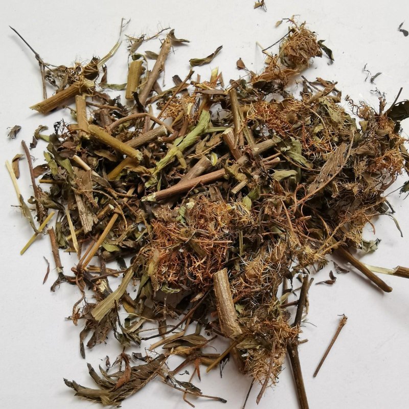 含羞草，药用含羞草，产地直供道地药材，药典标准支持线上交