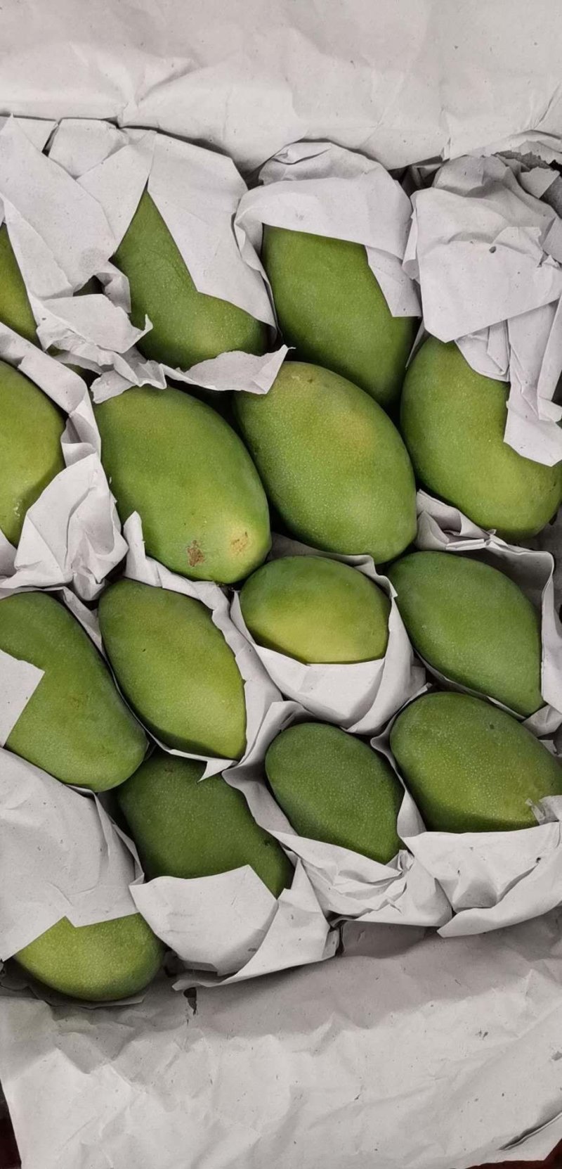 越南果园产地直发大青芒电商果工厂果