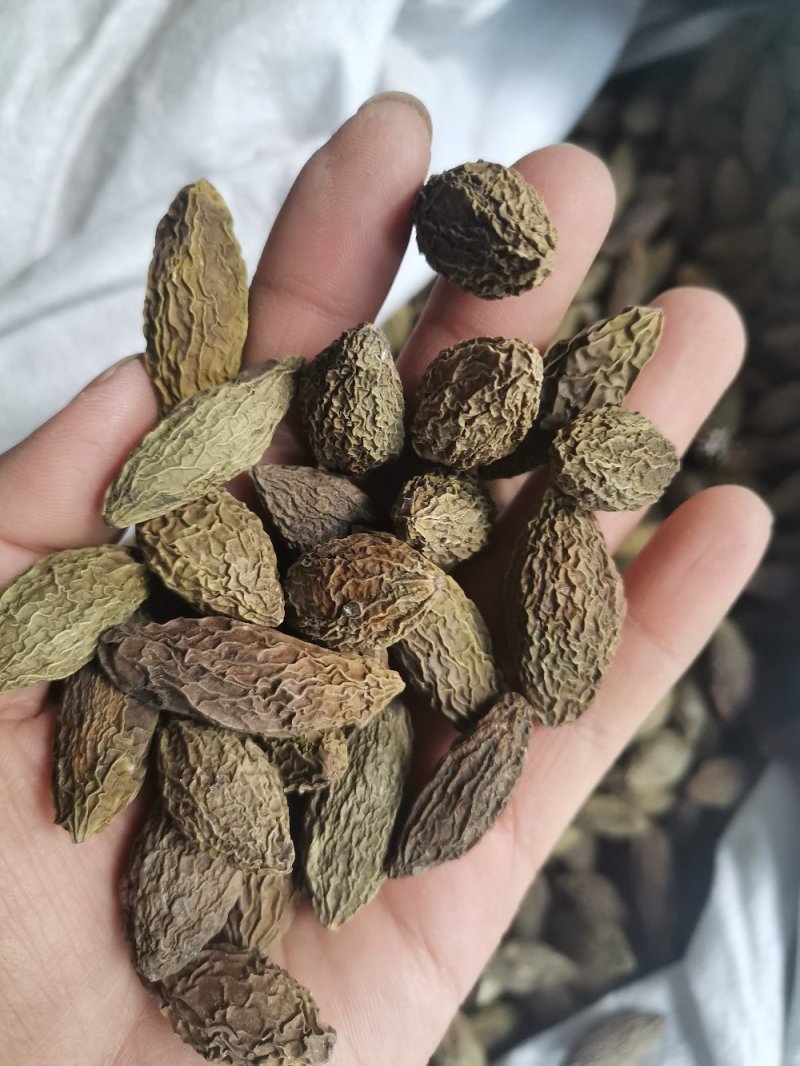 中药材甘青果橄榄果干无硫新品上市泡酒煲汤泡水
