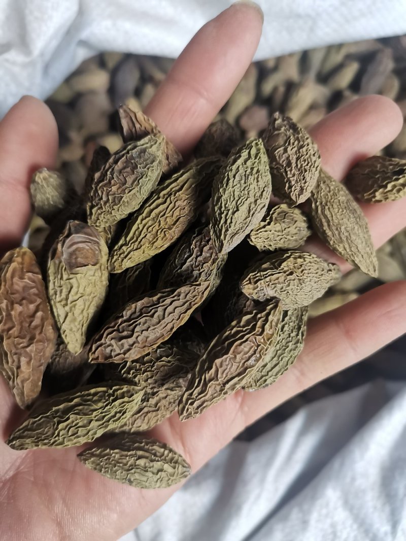 中药材甘青果橄榄果干无硫新品上市泡酒煲汤泡水