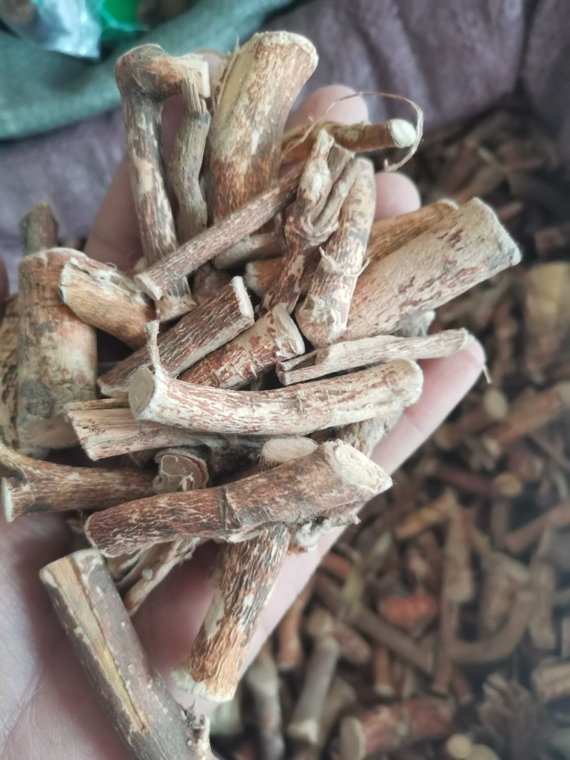 中药材五指毛桃无硫牛奶根天然晒干南芪可煲汤