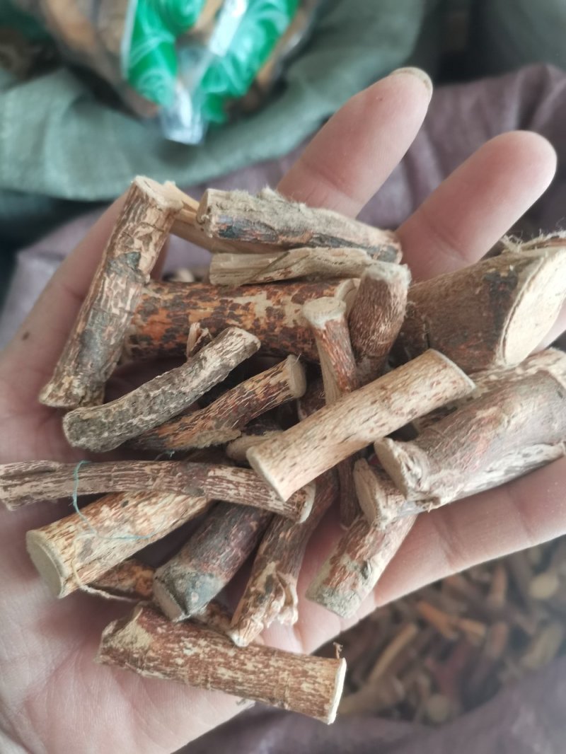中药材五指毛桃无硫牛奶根天然晒干南芪可煲汤