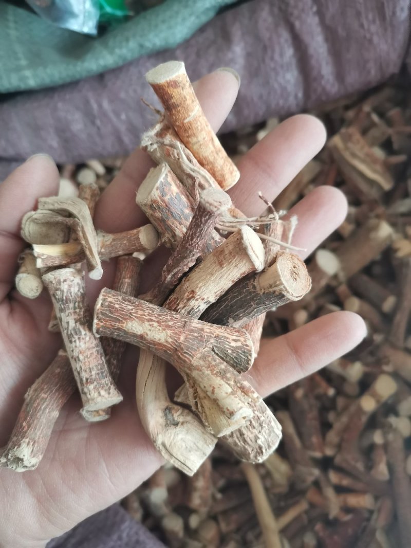 中药材五指毛桃无硫牛奶根天然晒干南芪可煲汤
