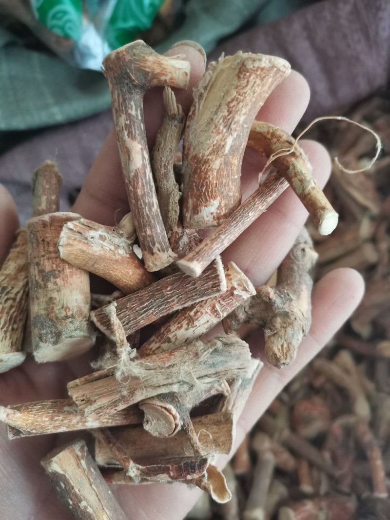 中药材五指毛桃无硫牛奶根天然晒干南芪可煲汤