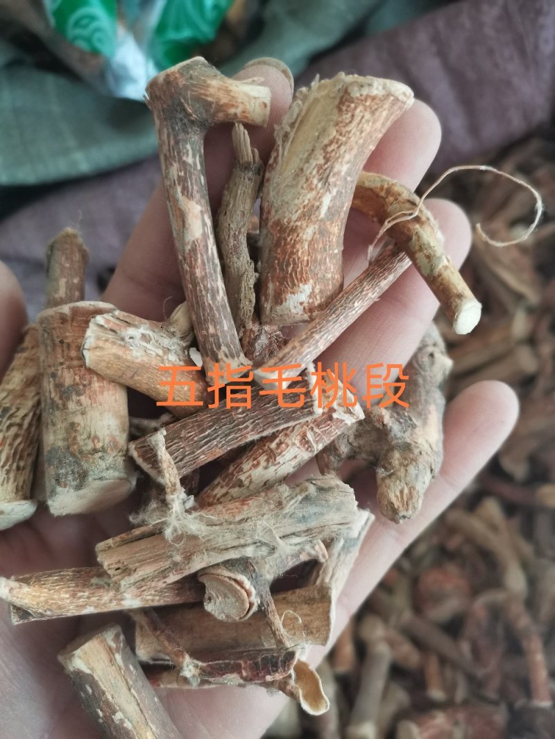 中药材五指毛桃无硫牛奶根天然晒干南芪可煲汤