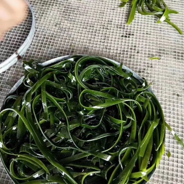 东山海带丝，无沙干净一包半斤250克优质好货，