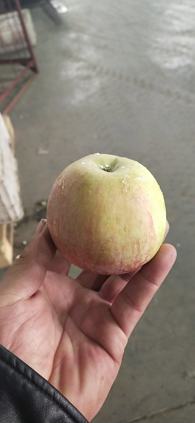 苹果果光