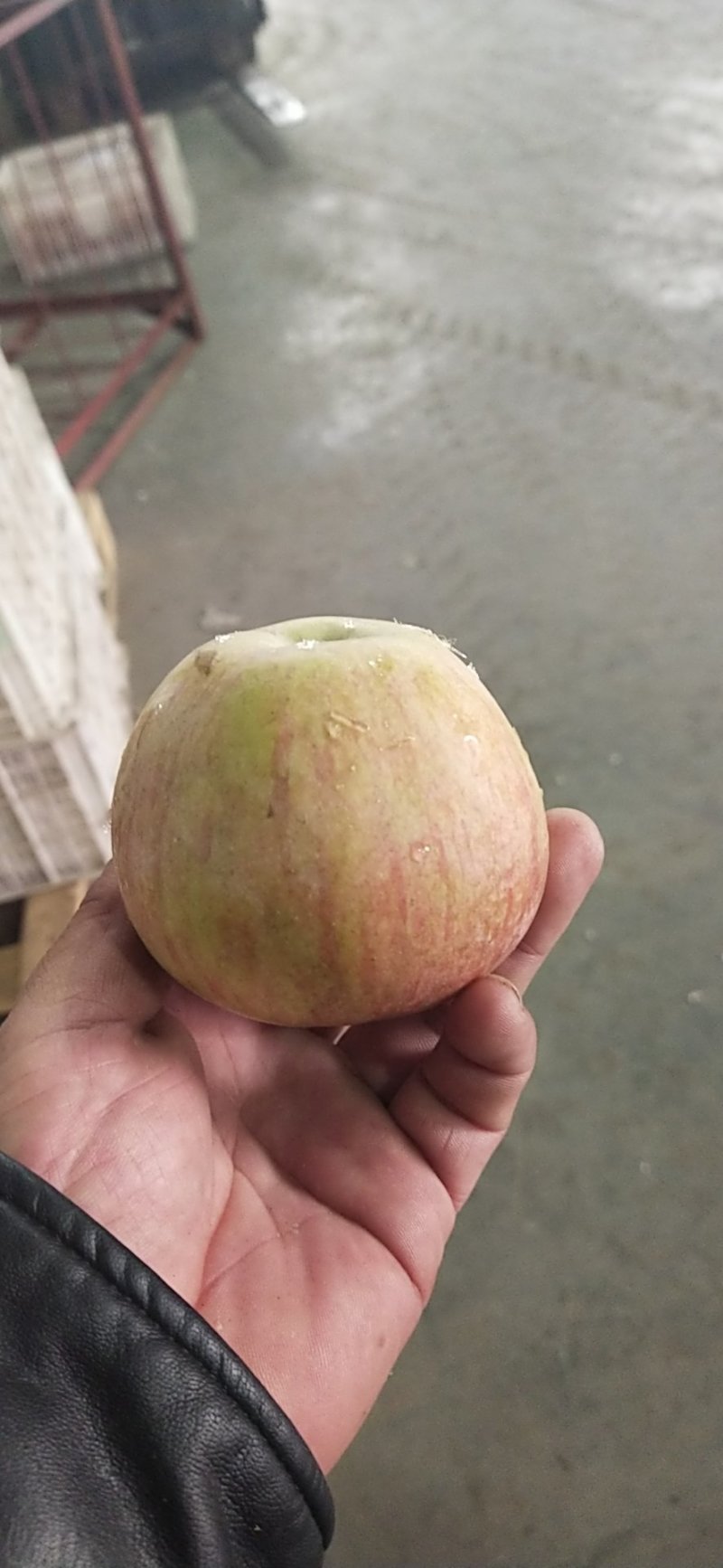 苹果果光