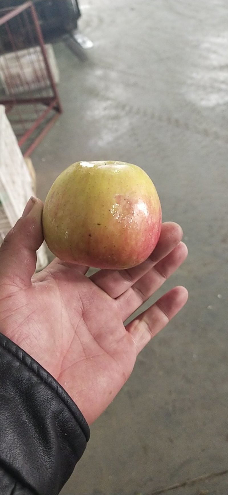 苹果果光